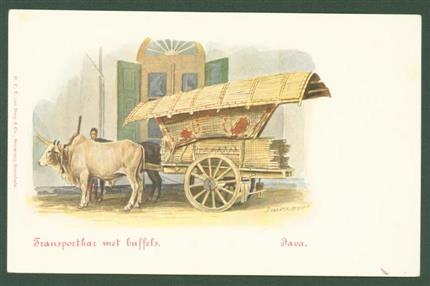 HEYDEN, JAN VAN DER - ( Postcard ) Dutch East Indies: Transportkar met buffels Java