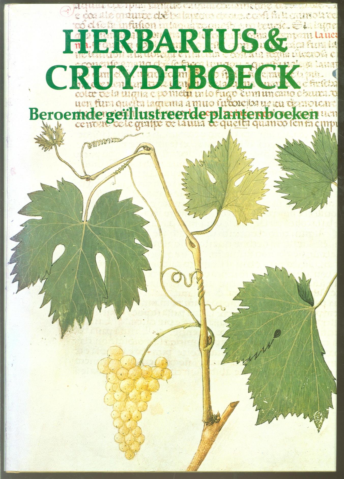 Blunt, Wilfrid, Raphael, Sandra - Herbarius & cruydtboeck: beroemde gellustreerde plantenboeken