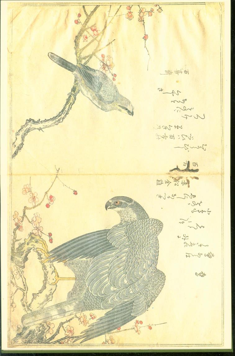 Utamaro : a chorus of birds - Utamaro Kitagawa 1753?-1806., Julia Meech, James T Kenney, JuÌ„zaburoÌ„ Tsutaya 1748