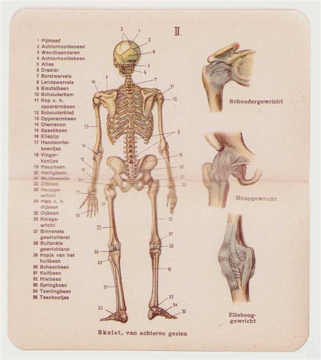 n.n - Kleine anatomische atlas van het menschelijk lichaam, met bijschriften en register
