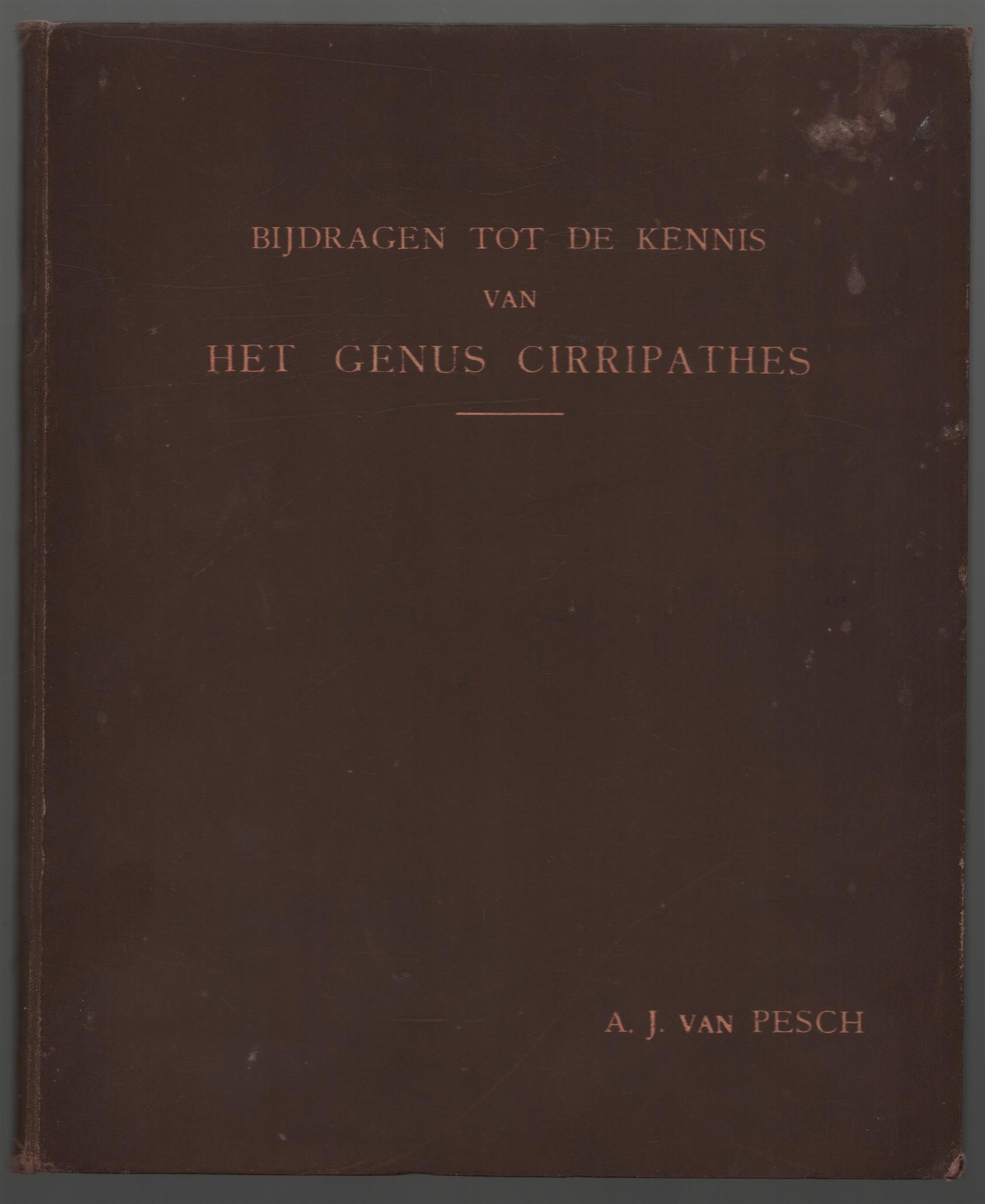 Pesch, Adrianus Jacobus van - Bijdragen tot de kennis van het genus Cirripathes